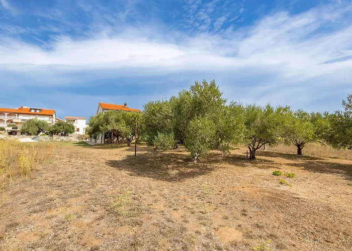 Amazing In Apartmán